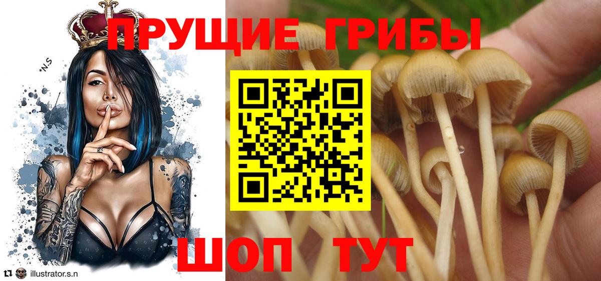 Галлюциногенные грибы GOLDEN TEACHER  Вход с VPN  Галлюциногенные грибы мицелий  Домодедово 